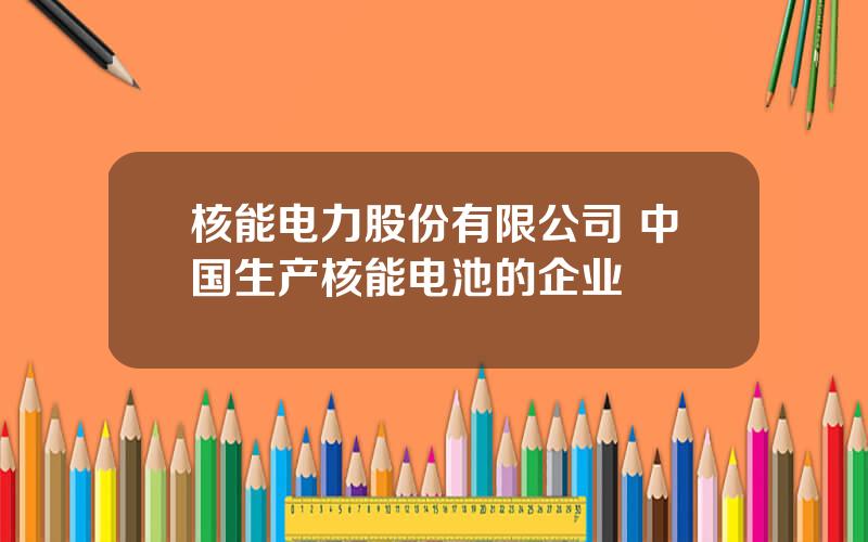 核能电力股份有限公司 中国生产核能电池的企业